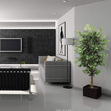Silk Ficus Tree with 1,528 Leaves - 6'