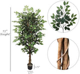 Silk Ficus Tree with 1,528 Leaves - 6'
