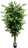 Silk Ficus Tree with 1,528 Leaves - 6'