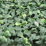 UV-Resistant Green Faux Boxwood Panels, Indoor/Outdoor, Pack of 12 - 20" x 20"