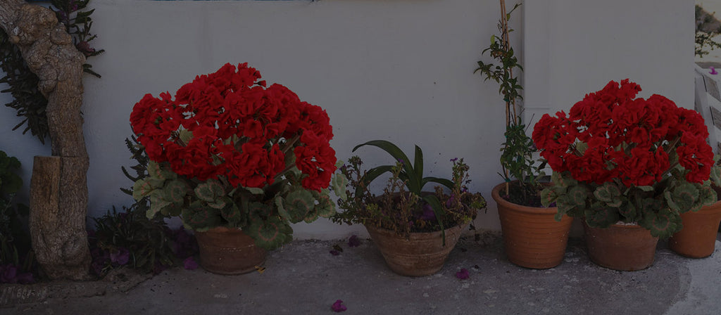 ArtificialFlowers