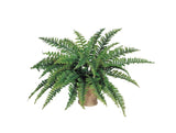 Premium Boston Fern Silk Plant | Luxurious 42 Fronds - 6 Piece | 34" Diameter | Perfect Home and Office Greenery Decor | Best Indoor Plant