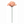 Artificial Silk Rose Picks with 3" Flower Heads & 8" Stems (50 Box Pack) - 
    Blush Pink