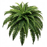 48" Boston Fern Artificial Plants with 60 Lush Silk Fronds