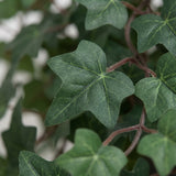 13" Artificial Ivy Hanging Plant – Faux Greenery for Baskets, Indoor/Outdoor Home Decor