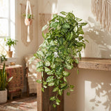 Fake Nepthytis Ivy Bush with 185 Silk Leaves, Set of 2 - 38"
