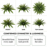 Faux Boston Fern Plant with 27 Silk Fronds - 28" Wide