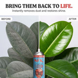 AFK Silk Flowers and Plants Aerosol Cleaner Spray - Artificial Flower and Plant Treatment for Cleaning, Shining and a Finishing Touch No Wiping Needed, Floral Home by Artificial Flowers