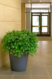 Philodendron Bush w/ 115 Silk Leaves - 23" Long - 2 PACK