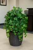 Fake English Ivy Bush with 157 Leaves - 33"