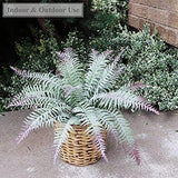 Artificial Dusted River Fern Bush 20", 7 Fronds