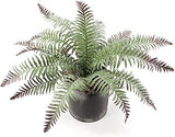 Artificial Dusted River Fern Bush 20", 7 Fronds