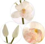 White Artificial Cymbidium Orchid Stems, Set of 3 - 30"