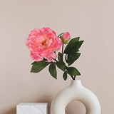 4-Piece 30" Peony Stem