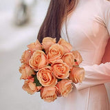 Apricot Faux Rose Bud - 20"