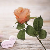 Apricot Faux Rose Bud - 20"