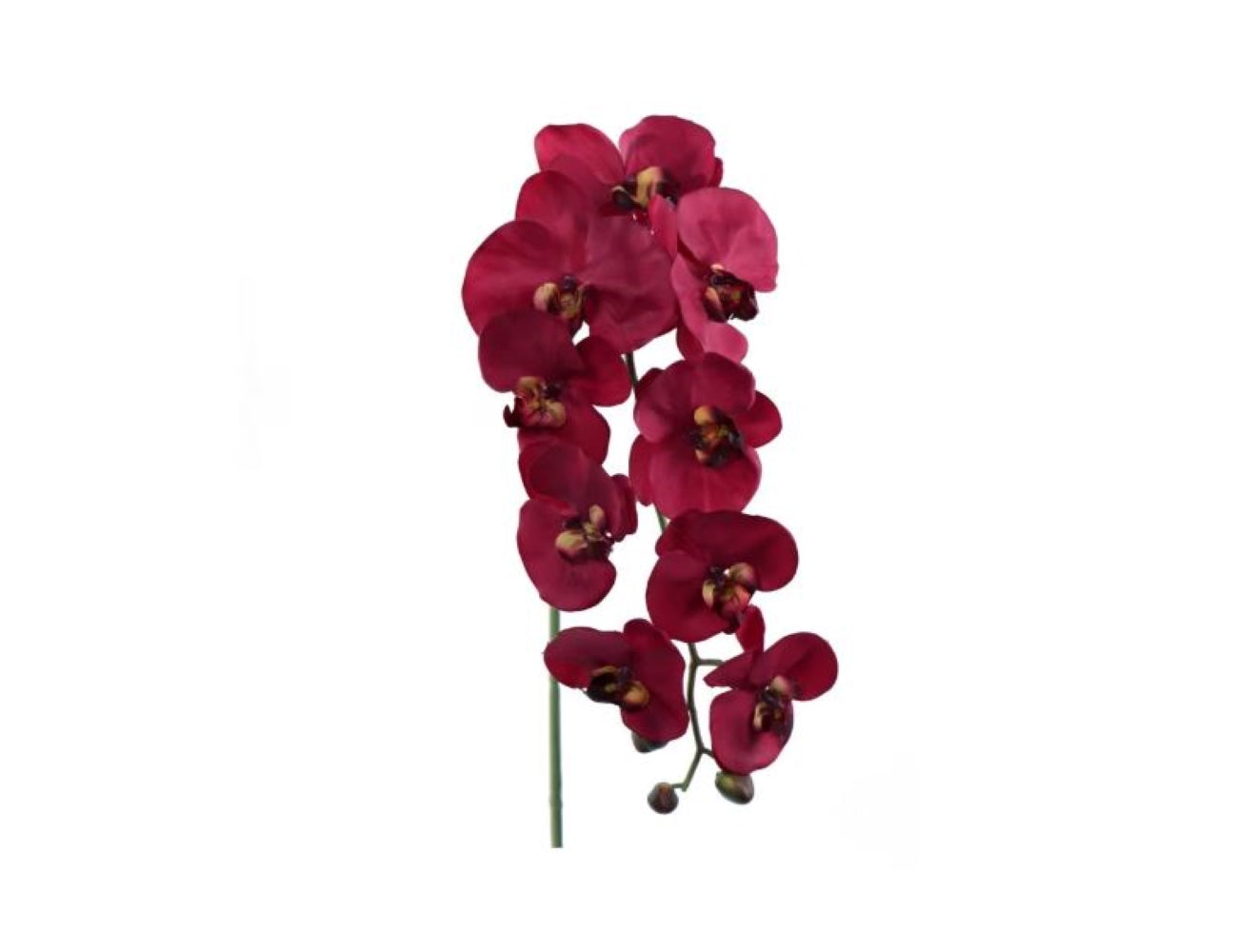 Luxurious 34" Burgundy Artificial Phalaenopsis Orchid - Silk Flower Decor for Elegant Home & Office Styling, Weddings - Lifelike Faux Floral Accent