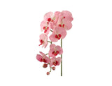 Delicate 34" Pink Phalaenopsis Orchid - Realistic Silk Flower Arrangement for Home, Events & Gifts - Charming Floral Decor