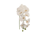Premium 34" Lifelike White Phalaenopsis Orchid - Faux Silk Flower Arrangement for Elegant Home Decor, Memorable Weddings, Unique Gifts - Artificial Plant