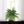 Boston Fern Artificial Plant - 48 Fronds, 48" Diameter for Indoor/Outdoor - 
    Green