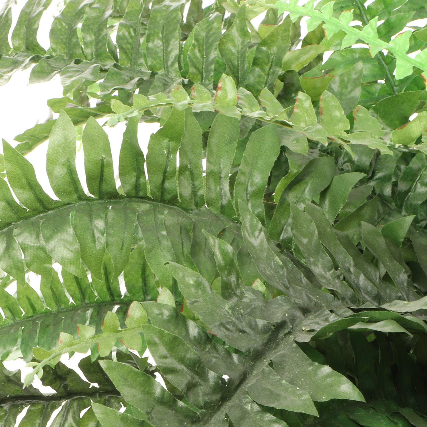 Boston Fern Artificial Plants - Outdoor or Indoor House Plant, Hanging Basket or Planter, 48” Inch Diameter 48 Fronds  ArtificialFlowers   