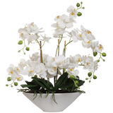 Set of 2 White Orchid Flower Arrangement In Vase 18" Orchid ArtificialFlowers   