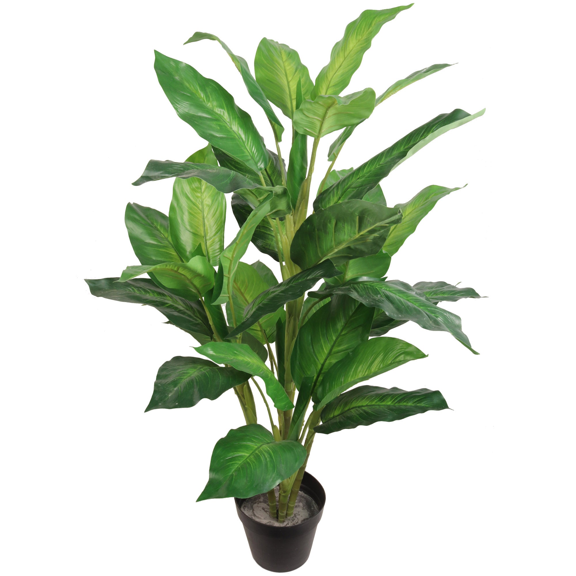 Silk Dieffenbachia Plant 36” in Pot Silk Green Artificial House Plant 24 Realistic Leaves House Plant ArtificialFlowers   