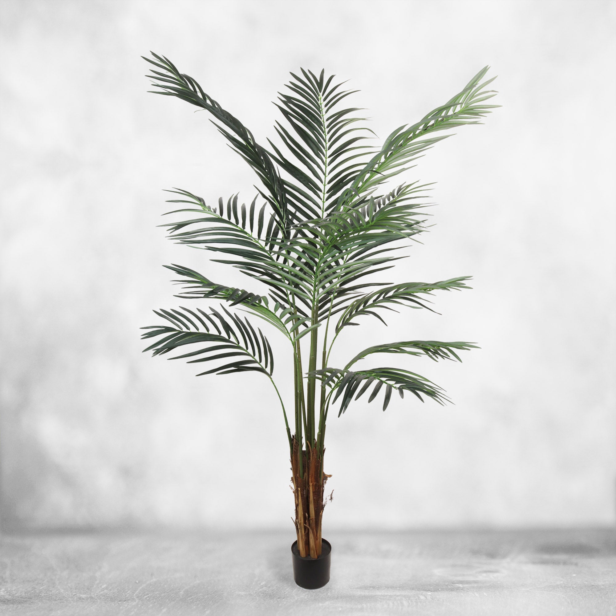 Artificial Silk Areca Palm Tree House Plant in Black Pot  5' House Plant ArtificialFlowers   