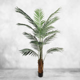 Artificial Silk Areca Palm Tree House Plant in Black Pot  6' House Plant ArtificialFlowers   