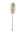 Real Touch Cymbidium Orchid with 13 Flowers and 2 Buds - 38" - 
    White