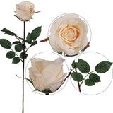 Artificial Premium Cream Rose Bud-30" (2 Pieces)  ArtificialFlowers   