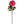 Artificial Peony Stems - 30" - 
    Fuchsia