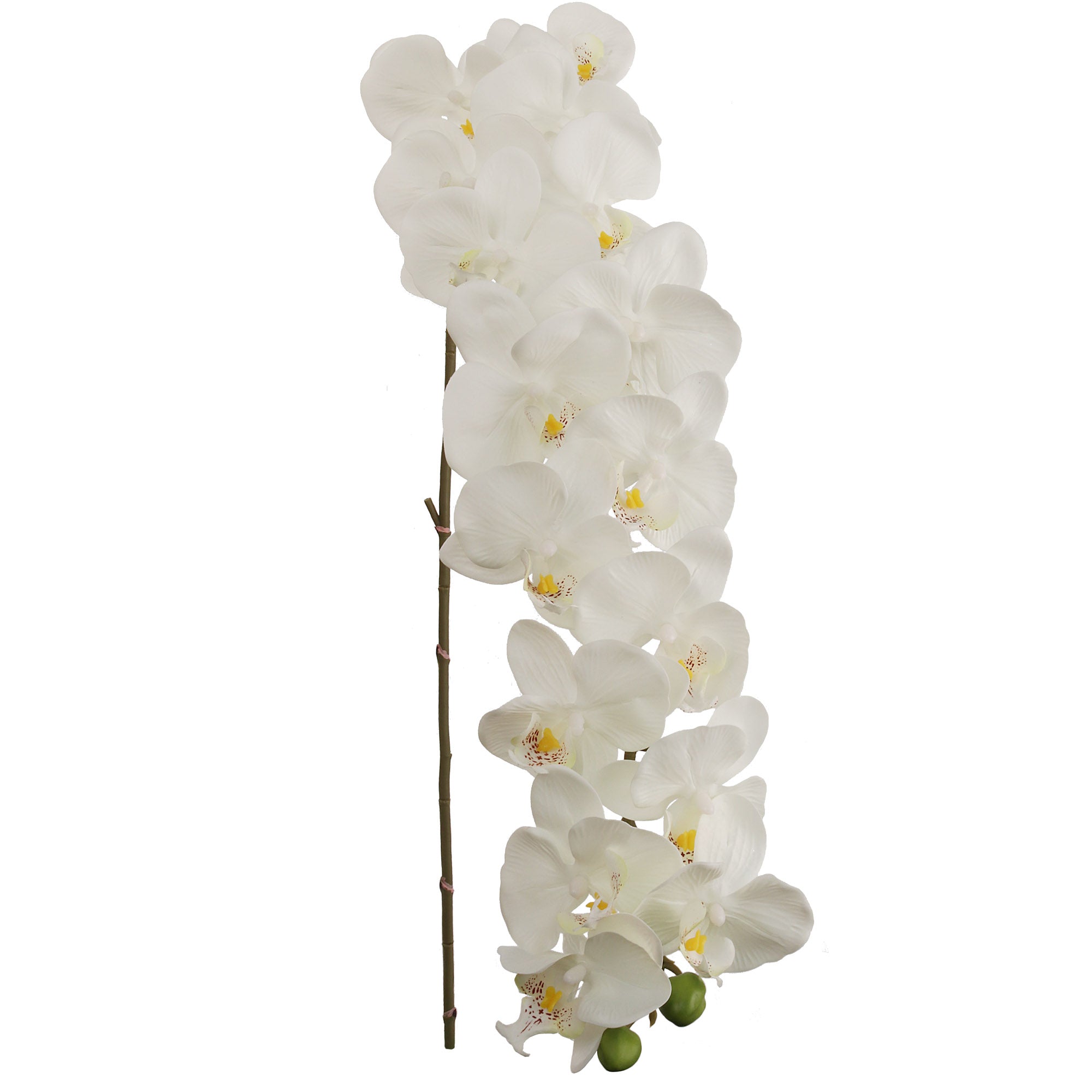 Artificial Real Touch Silk Phalaenopsis Orchid 16 Flowers- 49" Orchid artificialflowersdotcom   