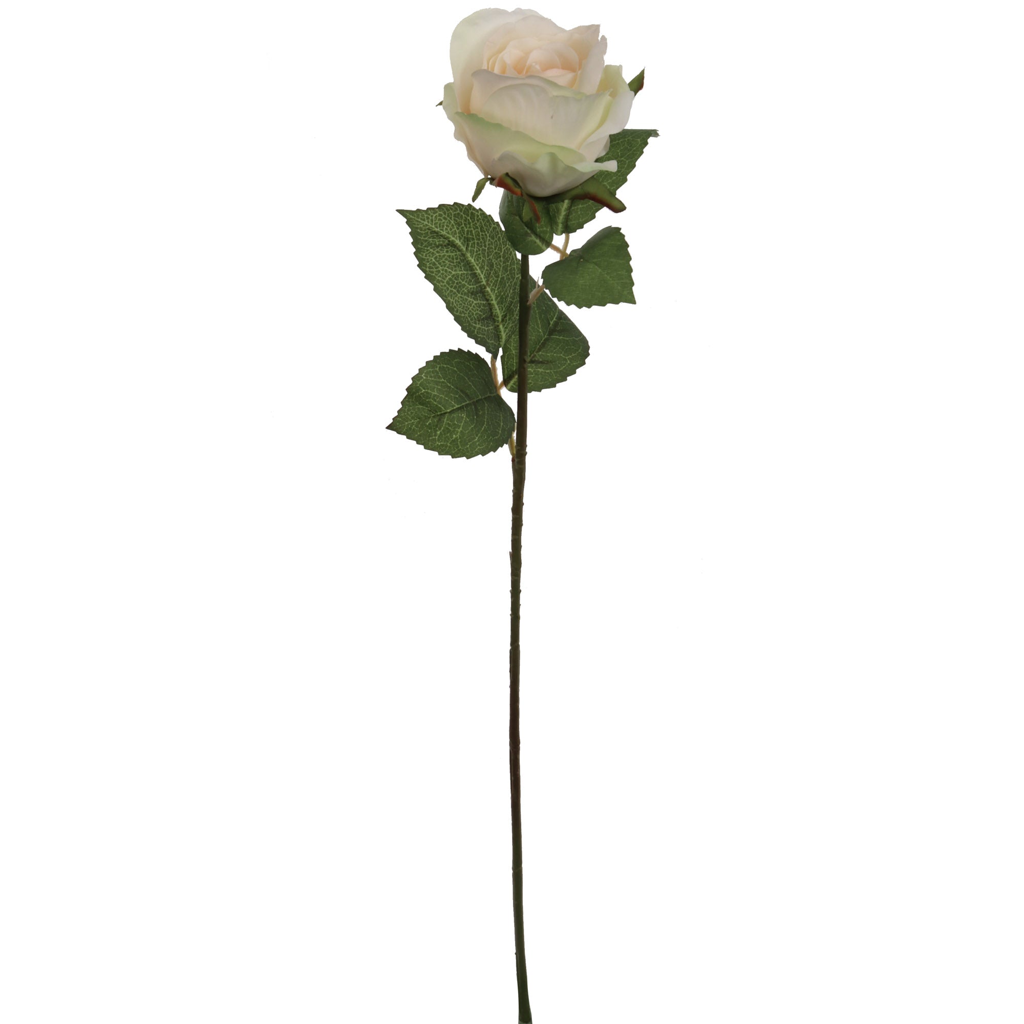 Artificial Champagne Rose Bud-20" Rose Stem ArtificialFlowers   