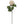 20" Silk Apricot Rose Bud Stem - 
    Cream