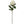 20" Silk Apricot Rose Bud Stem - 
    White