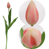 Artificial Real Touch Silk Tulip- 17"  ArtificialFlowers   
