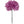 Artificial Silk Carnation Picks with 3.5" Flower Heads & 5" Stems (100 Box Pack) - 
    Lavender
