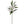 Cream Artificial Casablanca Lily - 34" - 
    Cream