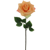 Artificial  Apricot Open Rose Stem-20" Rose Stem artificialflowersdotcom   