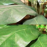 Artificial Silk Areca Palm Tree- 7 '  artificialflowersdotcom   