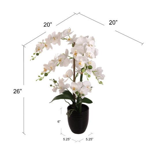 25 Inch Phalaenopsis Orchid Floral Arrangement Orchid ArtificialFlowers   
