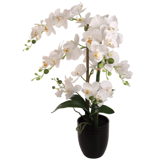 Fake Phalaenopsis Orchid Arrangement in Black Vase - 25"