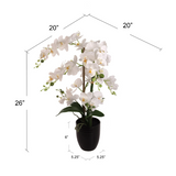 25 Inch Phalaenopsis Orchid Floral Arrangements Black Vase Orchid ArtificialFlowers   