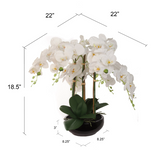 Set of 2- 20" White Phalaenopsis Orchid Floral Black Vase Orchid ArtificialFlowers   