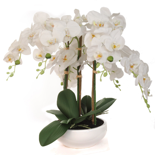 20 Inch Phalaenopsis Orchid Floral Arrangement  ArtificialFlowers   