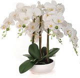 18" Phalaenopsis Orchid Floral Arrangement - 14" Diameter White Ceramic Vase, Lifelike Artificial Flowers, Elegant Home & Office Decor, Perfect Gift, Premium Quality Orchid ArtificialFlowers   