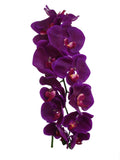 Artificial Real Touch Silk Purple Phalaenopsis Orchid 16 Flowers- 36"  ArtificialFlowers   