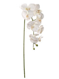 Artificial Real Touch Silk Phalaenopsis Orchid 9 Flowers 3 Buds- 34" Orchid artificialflowersdotcom   