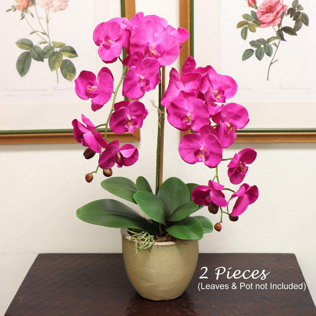 Exquisite Touch: Artificial Real Touch Silk Phalaenopsis Orchid 9 Flow ...